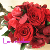 �ץꥶ���֥ɥե��֡���